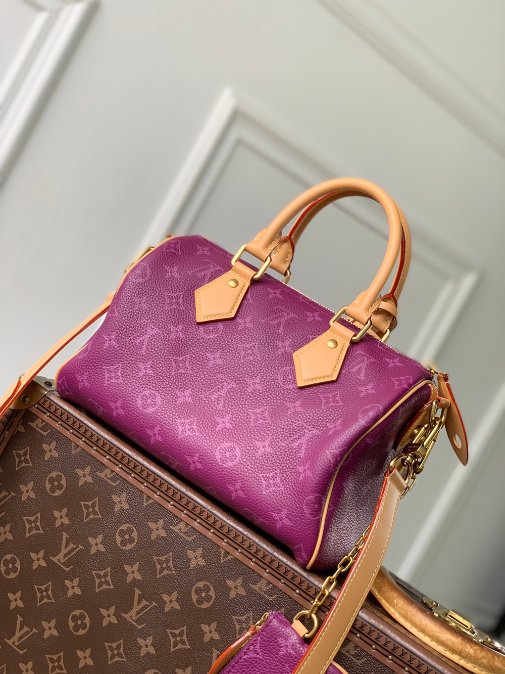 Louis Vuitton Speedy P9 Bandouliere 25