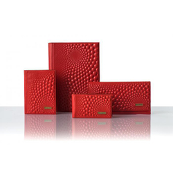 Обложка на паспорт «Bubbles». Цвет красный