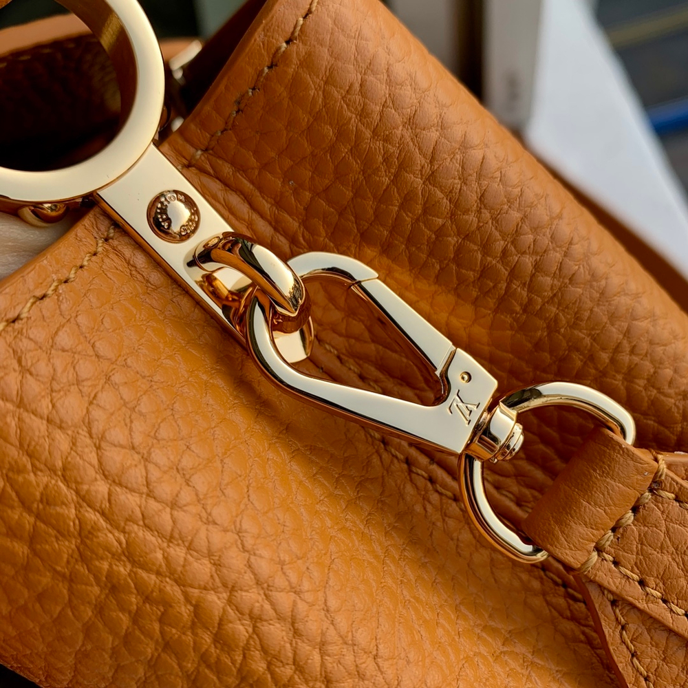 Louis Vuitton Capucines Mini