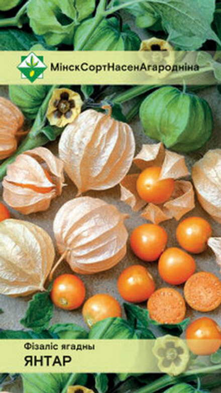 Физалис ягодный "Янтарь" 0.1г, Польша.