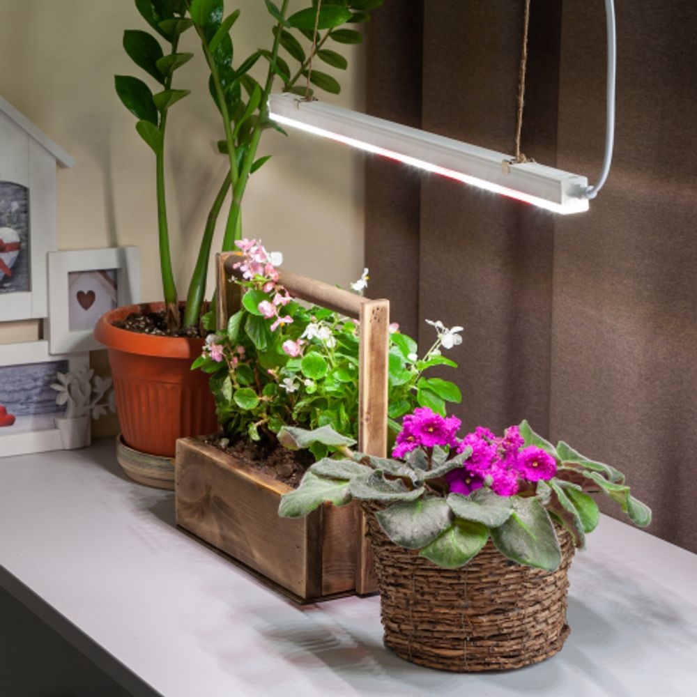 Светильник для растений, фитолампа светодиодная линейная ЭРА FITO-9W-T5-Ra90 полного спектра 9 Вт Т5 | Линейные фито светильники