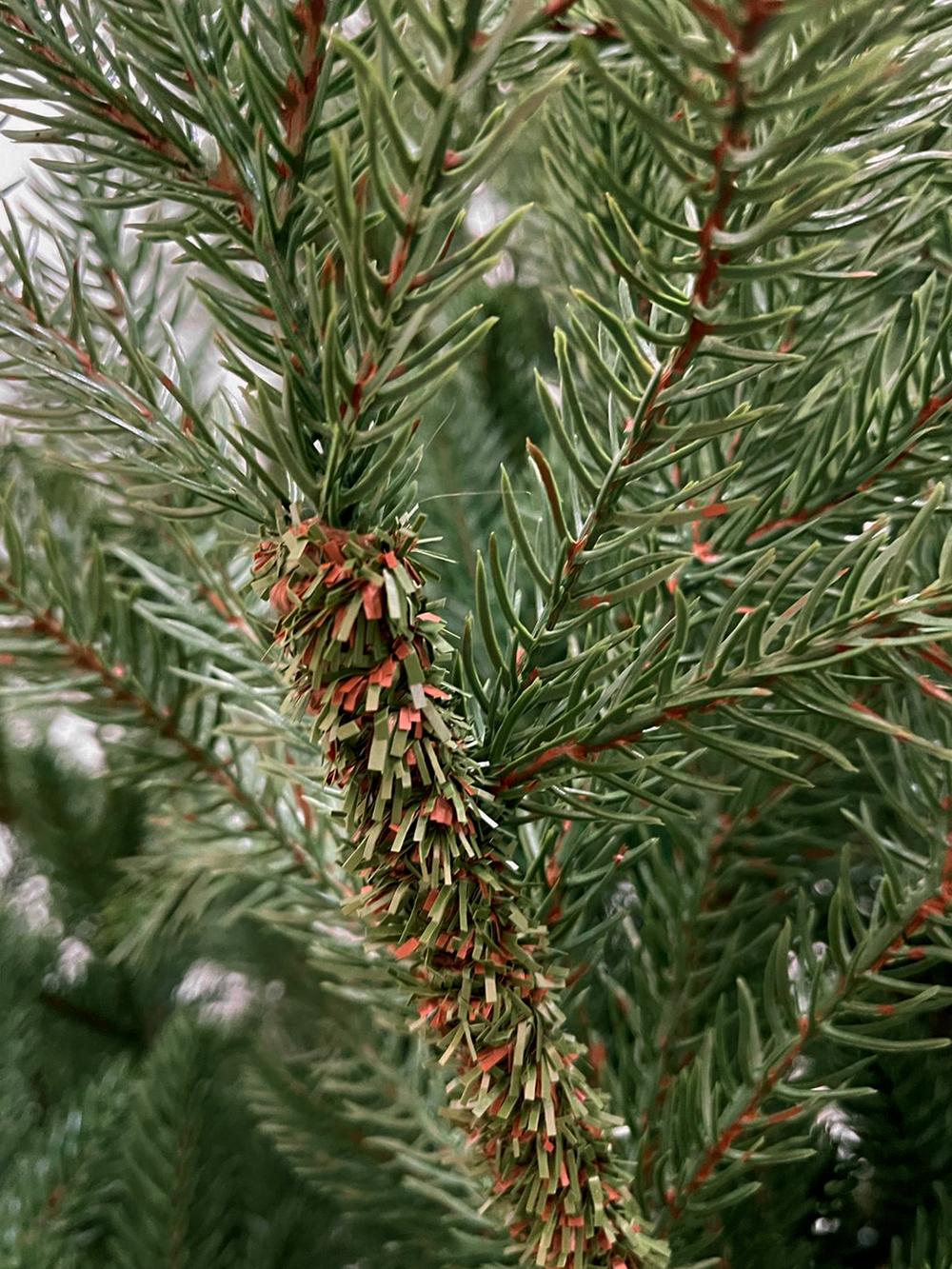 Ель TreeDeLuxe Русская премиум 100% литая 210см зеленая