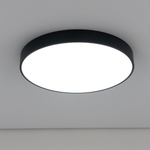 Citilux Купер CL72495G1 LED RGB Светильник с пультом Чёрный