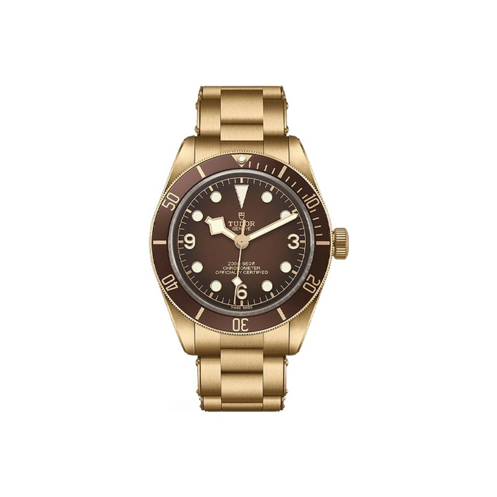 TUDOR Black Bay Fifty Eight Broze M79012M 0001