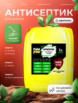 Антисептик для тяжелых условий PaintPRO 5л