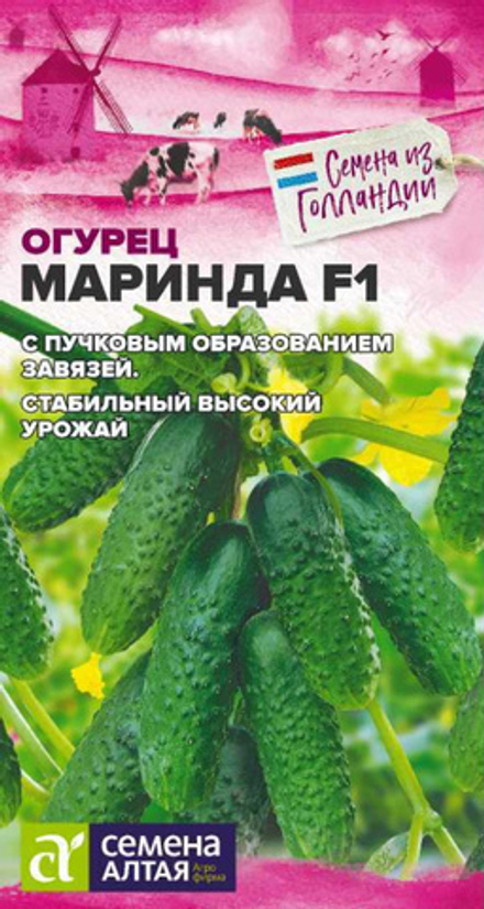 Огурец МАРИНДА F1цв.пак. 5 шт. Семена Алтая Seminis (Голландские Семена)