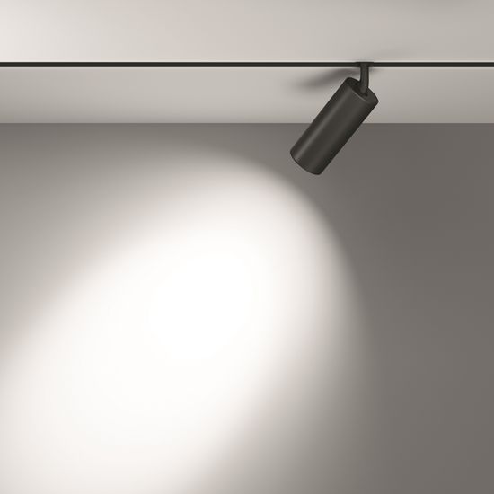 Трековый светильник Technical TR032-2-20W4K-S-B