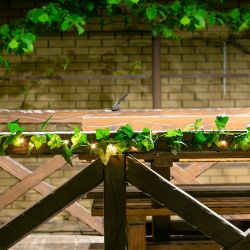 USL-S-135-PT2000 IVY Садовая гирлянда на солнечной батарее Плющ. 20 светодиодов. Теплый белый свет. 1xАА Ni-Mh аккумулятор в-к. IP44. TM Uniel