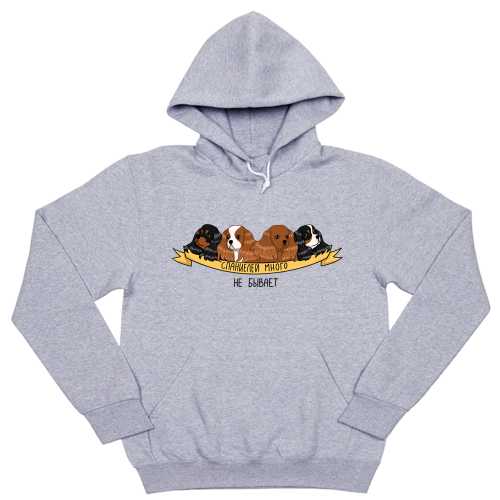 Толстовка "Спаниелей много не бывает"