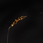 Чокер Invisible RED