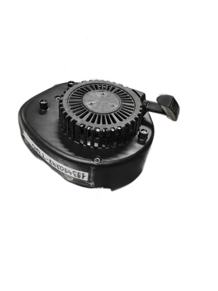 Стартер 1P65FA 193490248-T320