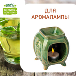 Чай с мятой, отдушка для свечей и мыла
