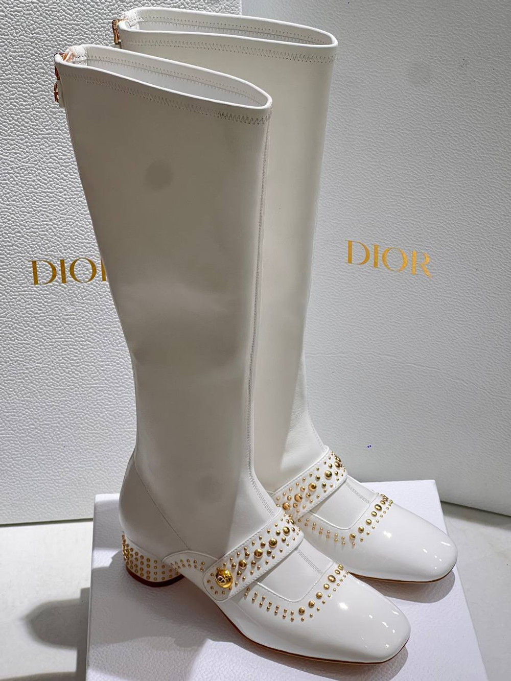 Сапоги Dior