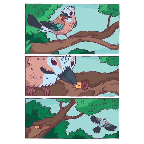 Желудёнок: большая прогулка