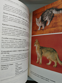 Атлас пород кошек