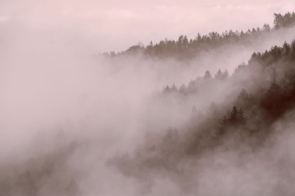 Фреска Applico, коллекция Natura