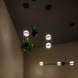 Реечный подвесной светильник PALMA Wall lamp 2 шара + 1 вазон горизонтальная