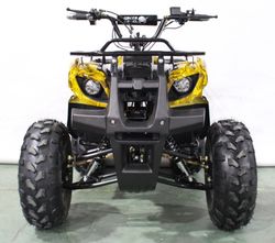 Квадроцикл GreenCamel Атакама T220 (48V 1000W R8 Дифференциал) пониженная электро