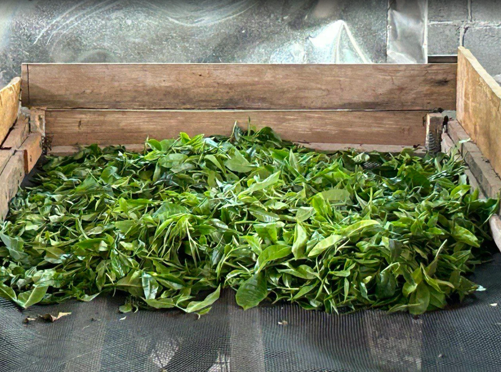 Подарок от 3000 А