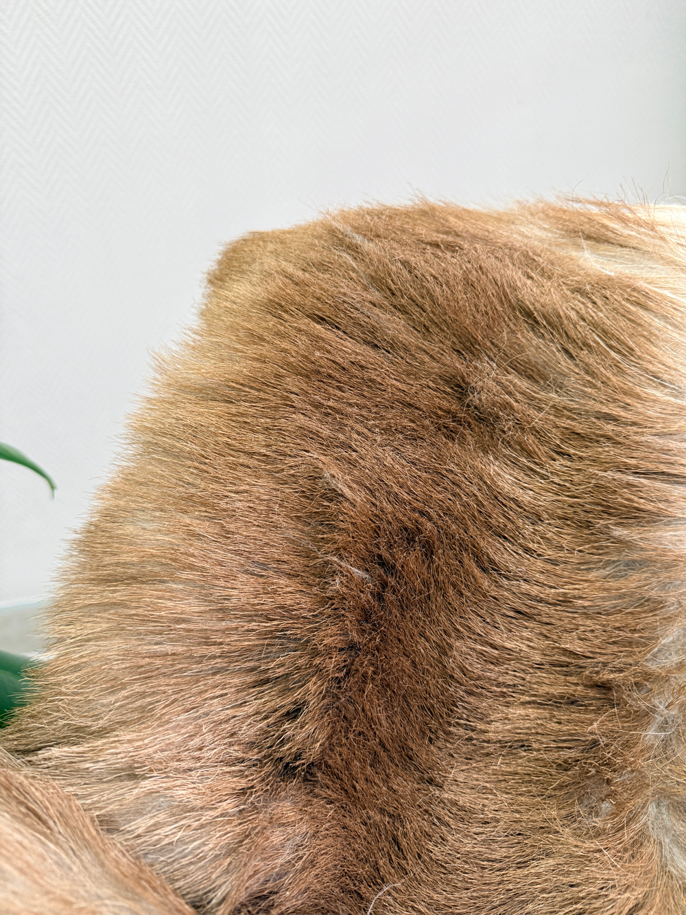 Шкура коврик меховой прикроватный овчина, 120х65 см.