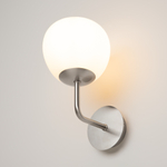 Настенный светильник (бра) Maytoni MOD221-WL-01-N