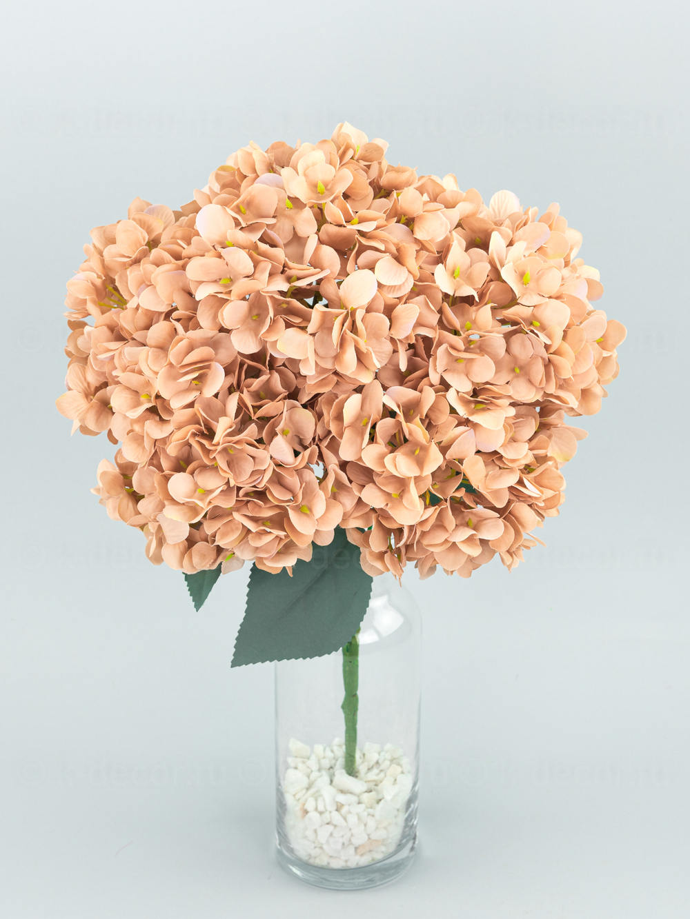 Букет гортензия Садовая