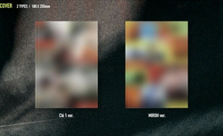 Альбом Stray Kids - Cle 1:Miroh Mini Album Normal Edition 2 Version SET
