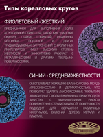Круг Коралловый зачистной 125 х 22.23 80 черный (мягкий)