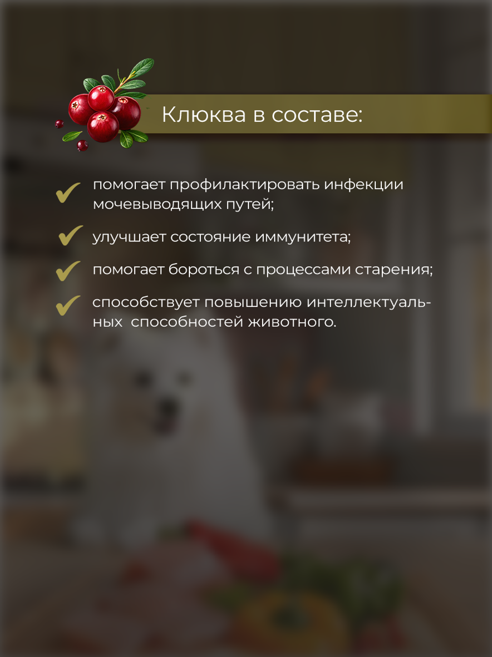 НАБОР Консервы DELISH Super Premium для собак с курицей, овощами и клюквой (паштет) - 10 шт х 80 гр