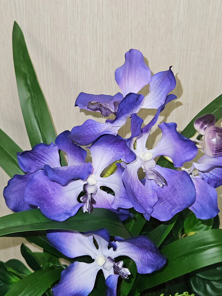 Композиция Сюрприз в кашпо