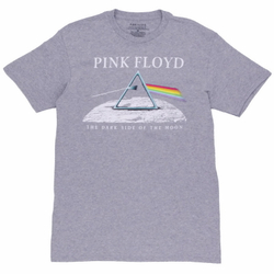 Футболка Pink Floyd The Dark Side of the Moon меланж
