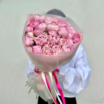 25 ароматных пионов «Сара Бернар» в упаковке. Букет 1153