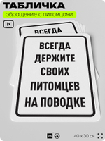 Табличка "Всегда держите своих питомцев на поводке" на дверь и забор, для двора, дома, подъезда, 40х30 см, Silver Plane x Айдентика Технолоджи