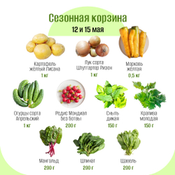 Сезонная корзина