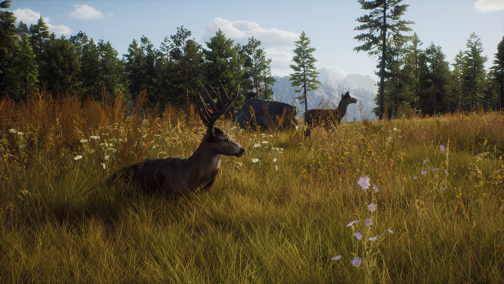 Way of the Hunter (для ПК, цифровой код доступа)