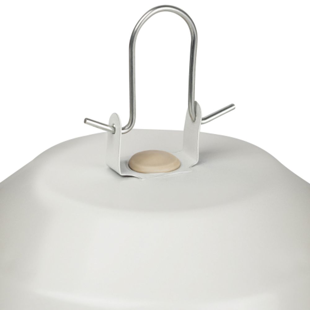 Светильник ЭРА НСП 02-100-003 с решеткой Желудь сталь стекло IP54 E27 max 100Вт 172х262х275 белый