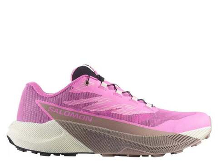 Кроссовки для бега женские Salomon Pulsar W Розово-Коричневые