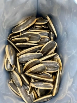 Китайские ароматные семечки с ротанговым перцем