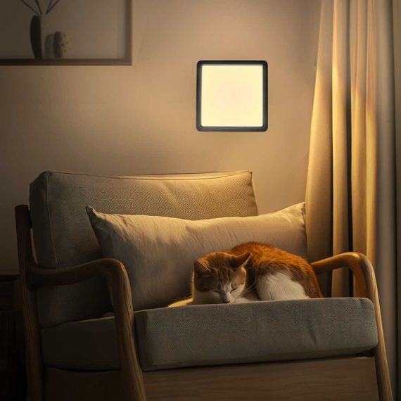 Потолочный светильник Citilux Бейсик CL738K181V