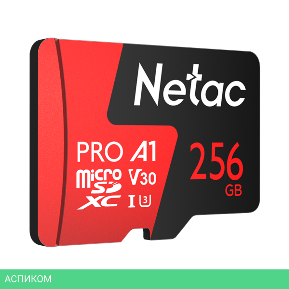 Карта памяти Netac NT02P500PRO-256G-S