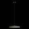 Подвесной светодиодный светильник Loft IT Plato 10119 Green