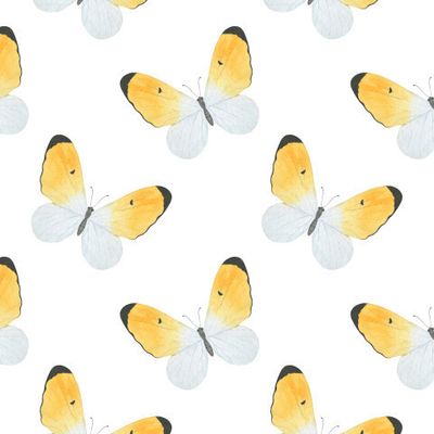 Бабочки акварель