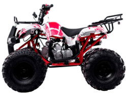 Квадроцикл Wels Thunder Basic 125 куб/см 10 л.с колеса 8" цвет Зеленый