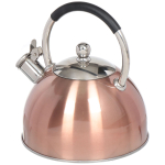 Чайник нерж, 3 л, свист, ручк с силик покр, Daniks, индукц, перламутровый, MSY-072