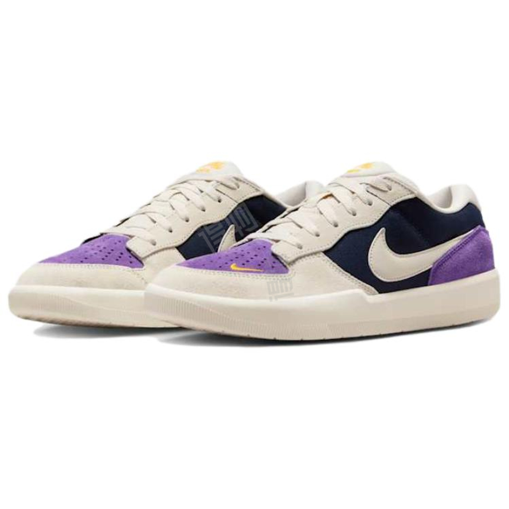 Кроссовки Nike SB Force 58 'Obsidian Wild Grape Phantom' DV5477-403