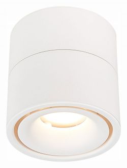 Светильник на штанге ST-Luce ST652 ST652.542.12