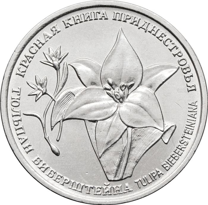 1 рубль 2019 Приднестровье «Тюльпан Биберштейна»