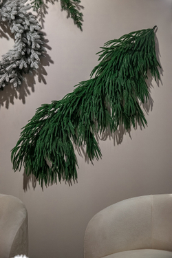 Ветка хвои Южная