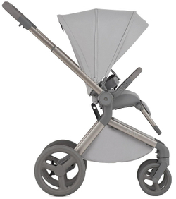 Детская коляска Anex Flo 2 в 1 Frossy