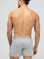 Мужские трусы-шорты с пуговицами (Размер: S) (Цвет: черный)